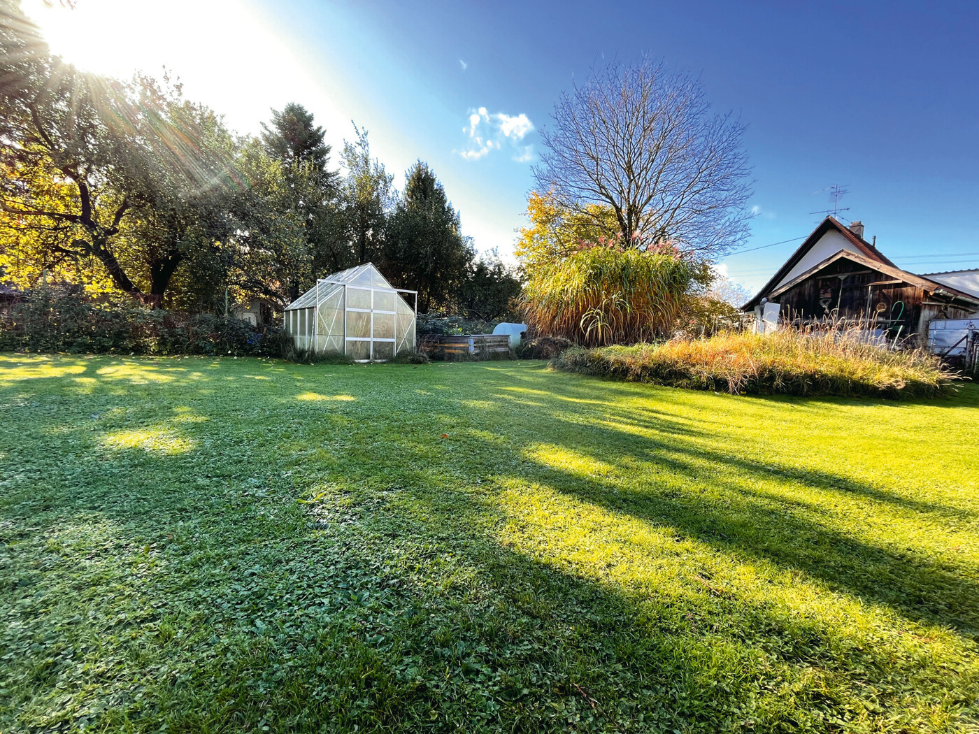Garten_1