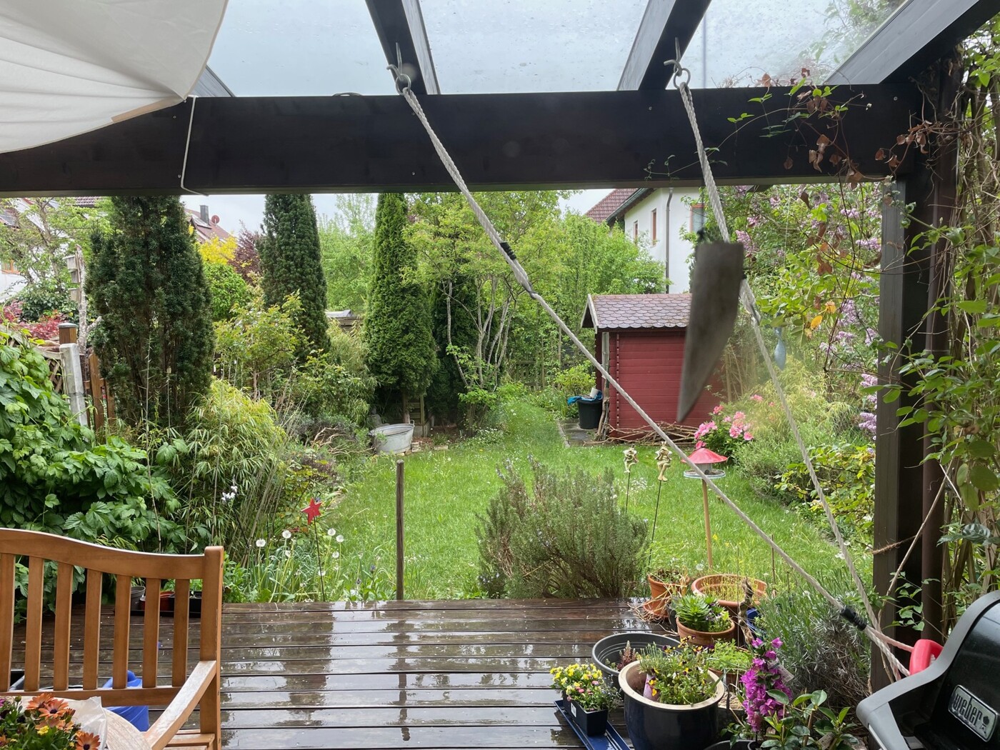 Blick in den Garten