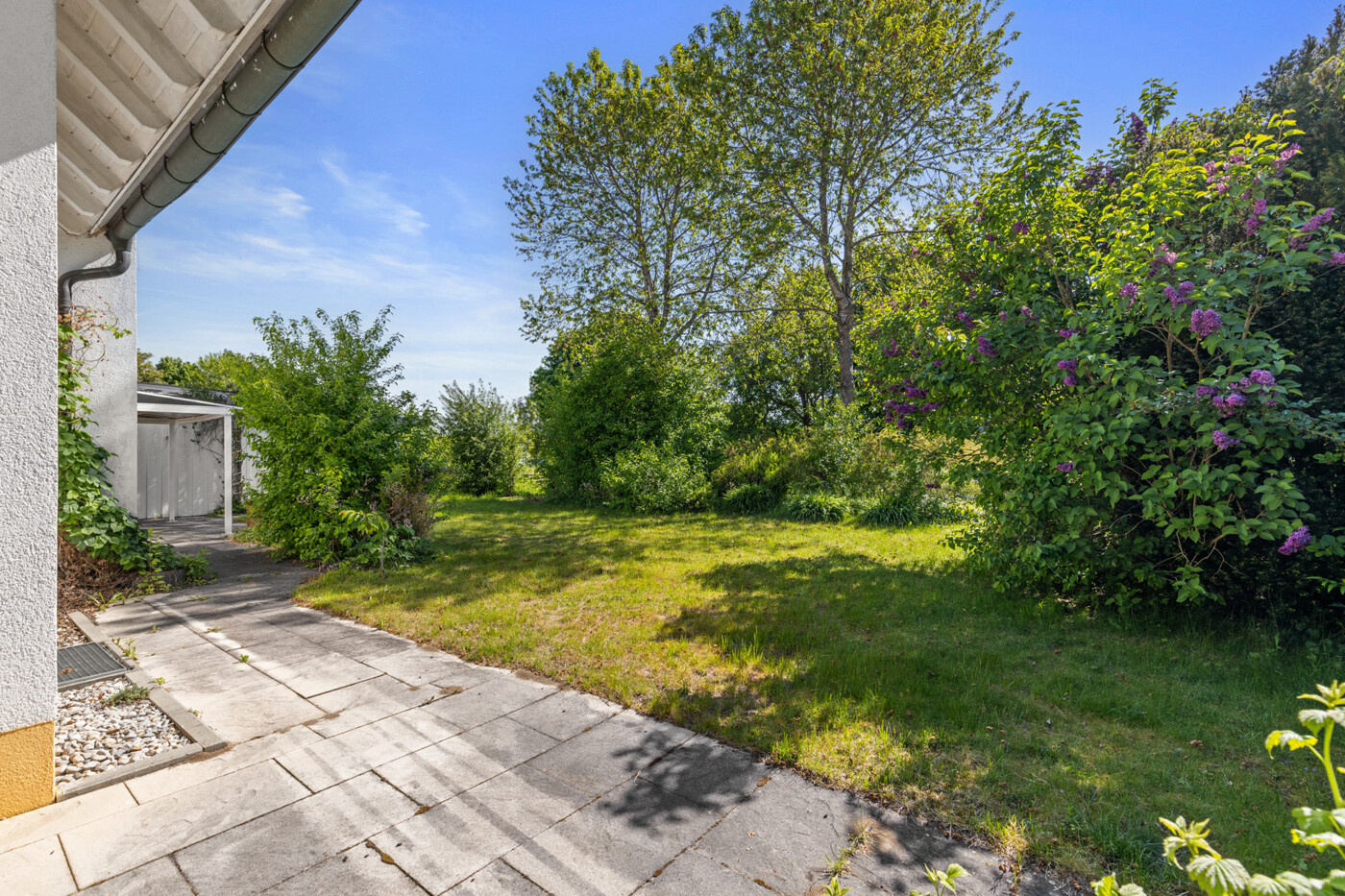 Blick in den Garten